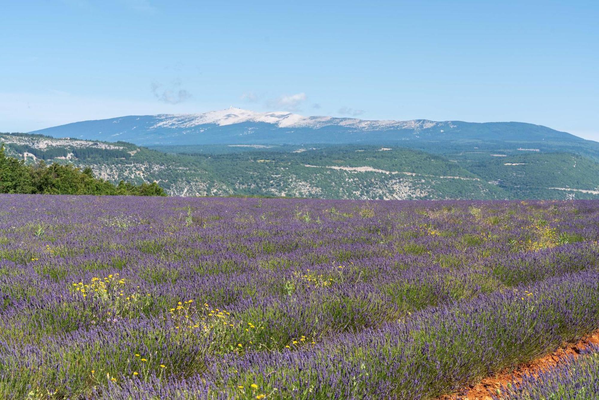 Les Demeures Du Ventoux Vila Aubignan Exterior foto